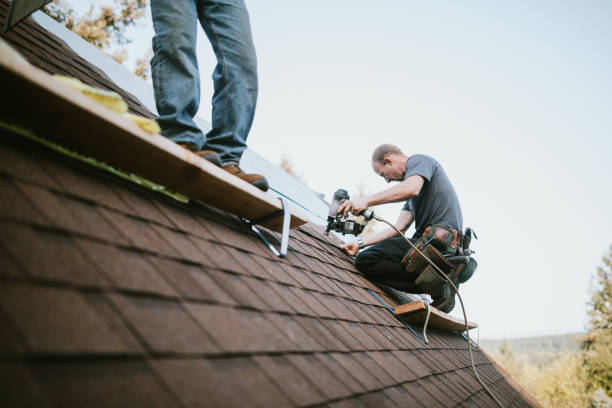 Quick and Trustworthy Emergency Roof Repair Services in Lynden, WA